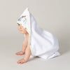 Peter Rabbit & Benjamin Bunny Hooded Towel