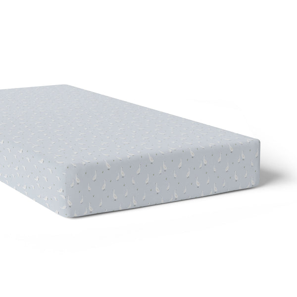 Provincial 2pk Jersey Cot Fitted Sheets - Sky/Almond