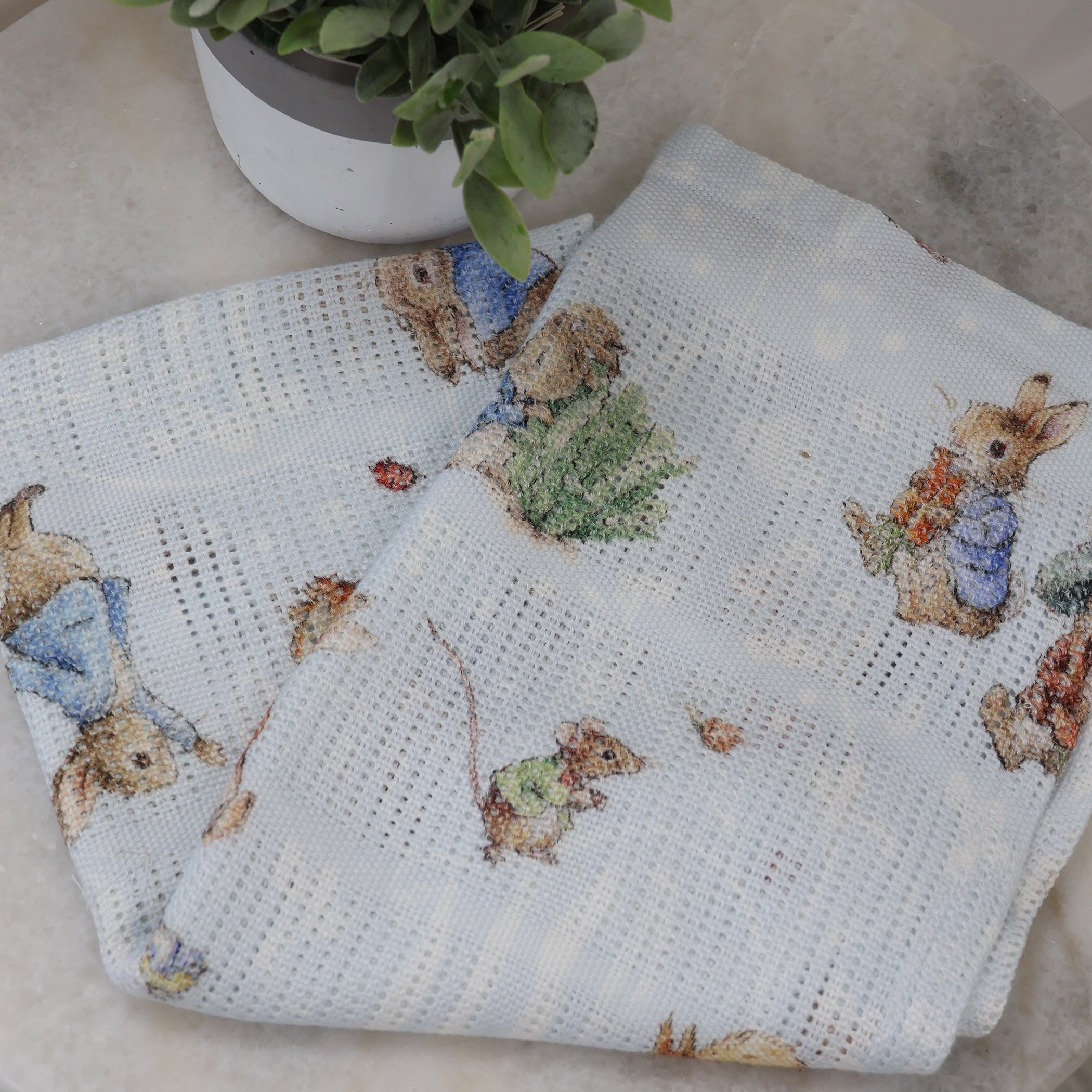 Peter Rabbit & Benjamin Bunny Cellular Blanket