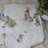 Peter Rabbit & Benjamin Bunny Cellular Blanket