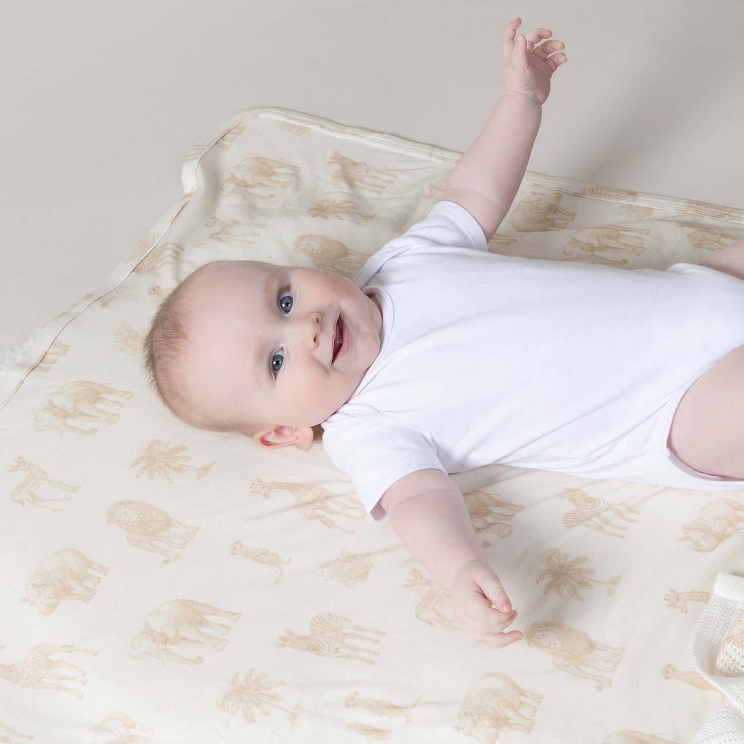 Serengeti 2pk Jersey Wraps