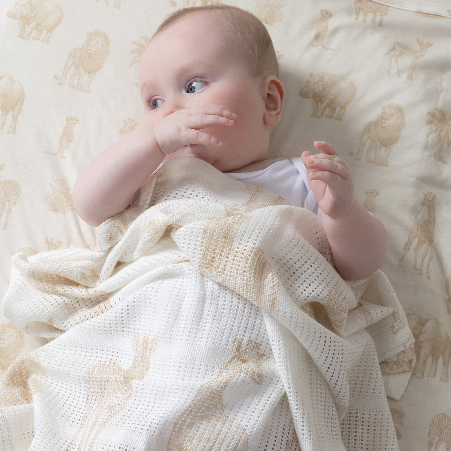 Serengeti Cellular Blanket