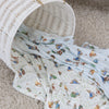 Peter Rabbit & Benjamin Bunny 2pk Jersey Wraps