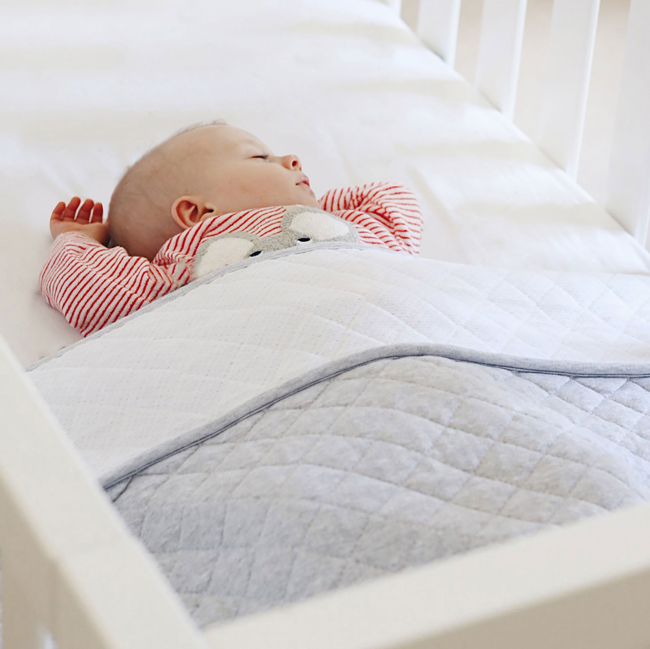 2.5 TOG Sleep Pouch - Standard Cot