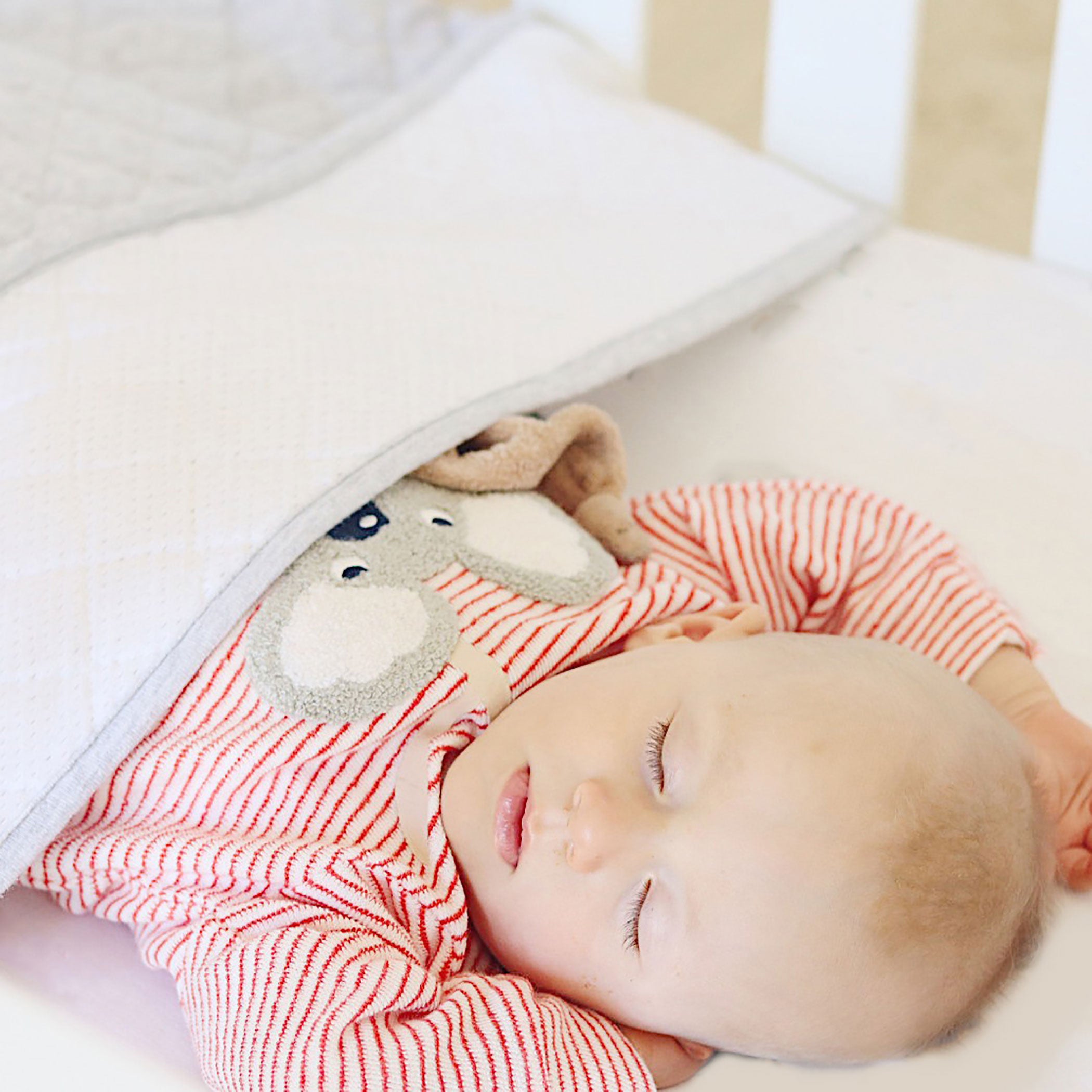 2.5 TOG Sleep Pouch - Standard Cot