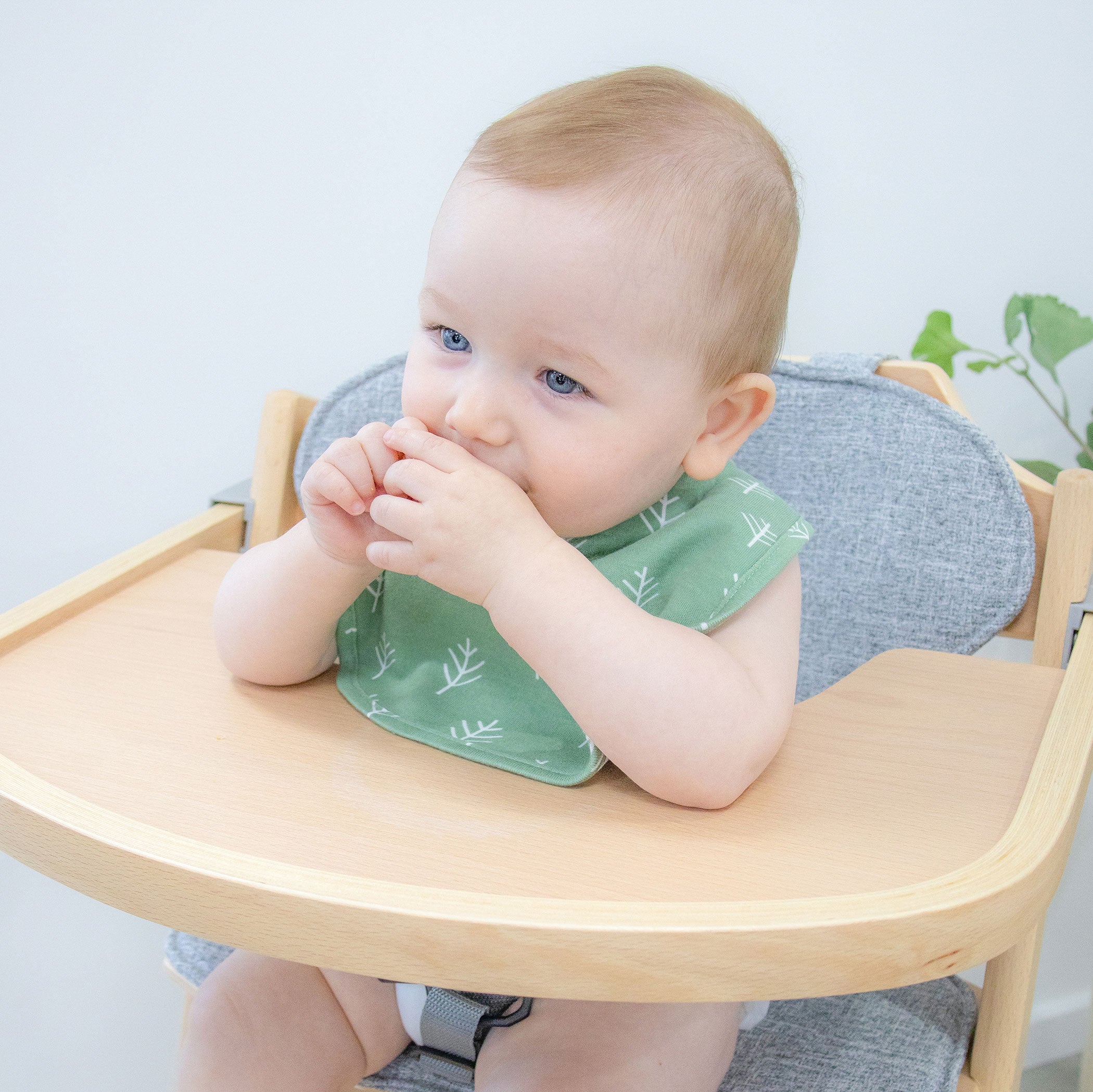 Nordic 2pk Dribble Bibs Avocado/Forest