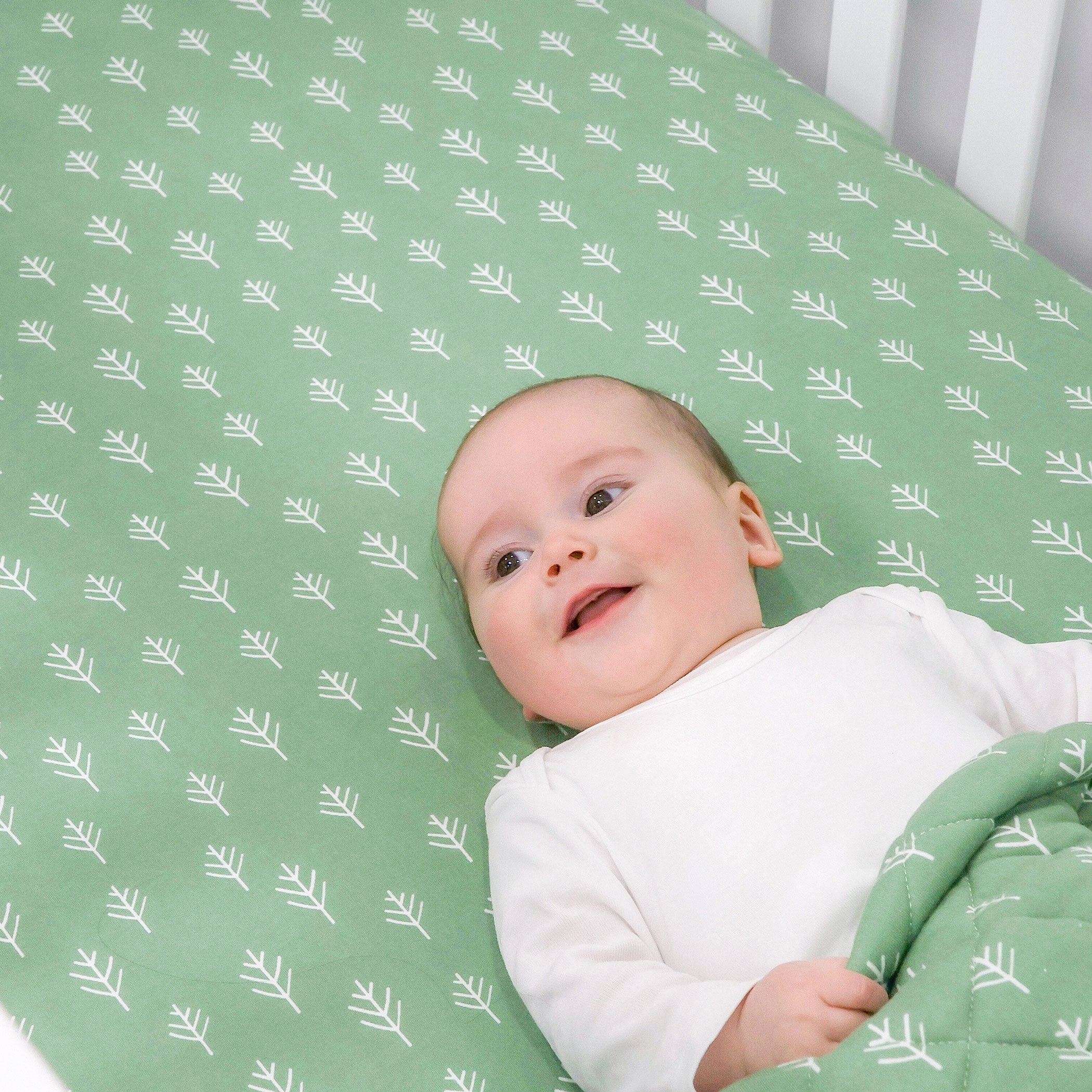 Nordic 2pk Jersey Cot Fitted Sheets Avocado/Forest